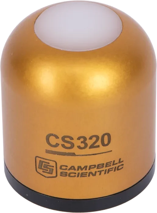 CS320
